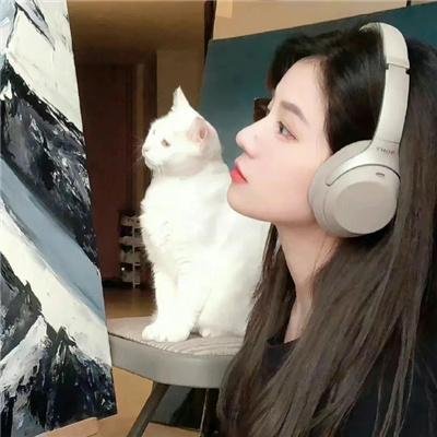 条条大道通罗马